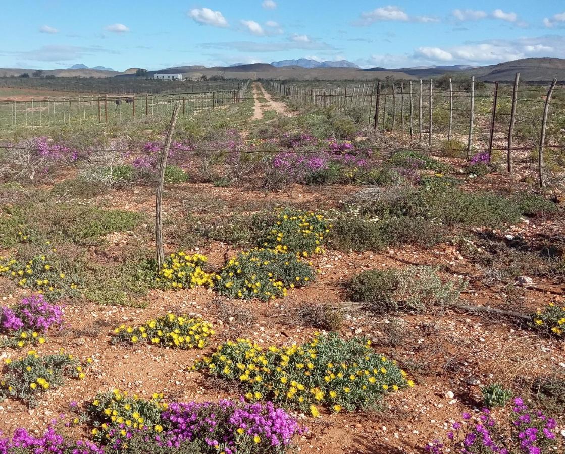 Apartament Pureplaas Self Catering Volmoed Oudtshoorn Klein Karoo Zewnętrze zdjęcie