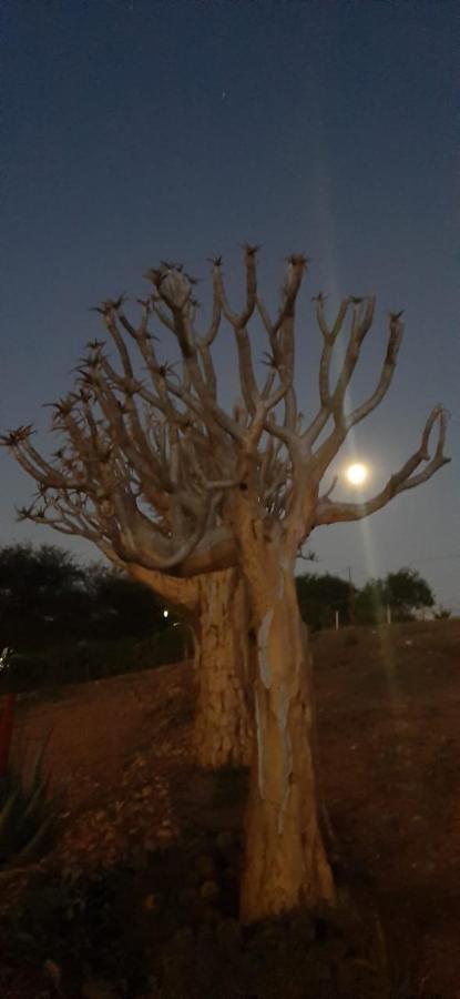 Apartament Pureplaas Self Catering Volmoed Oudtshoorn Klein Karoo Zewnętrze zdjęcie